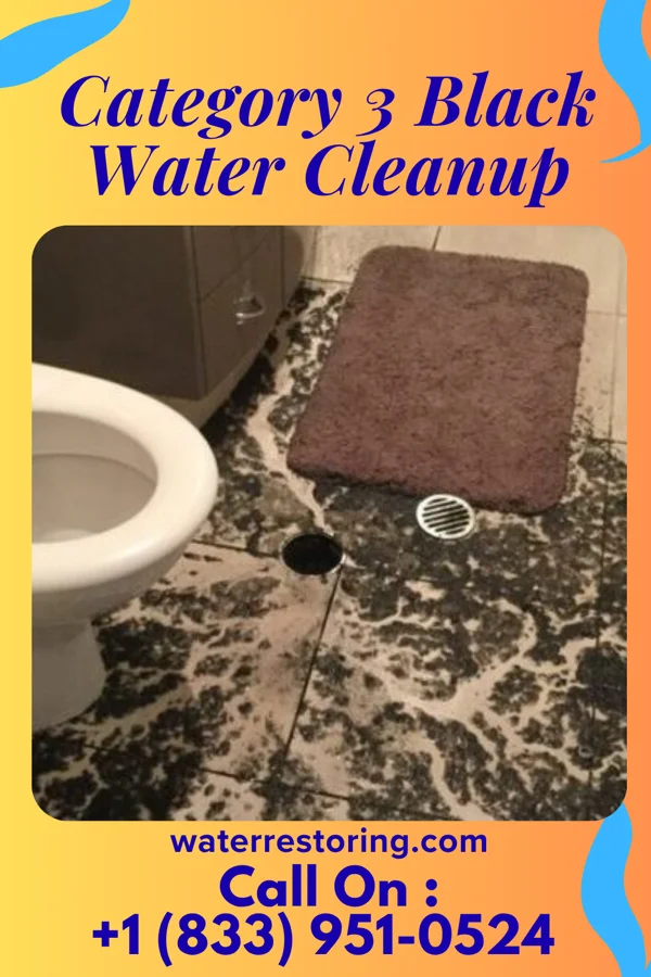 Category 3 Black Water Cleanup in Harveys Lake, PA