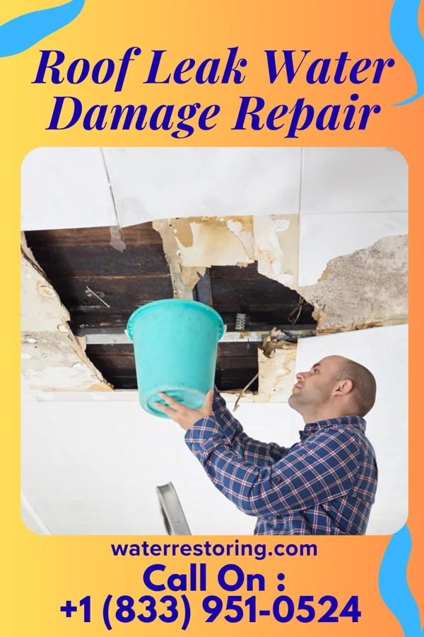 Roof Leak Water Damage Repair in Harveys Lake, PA