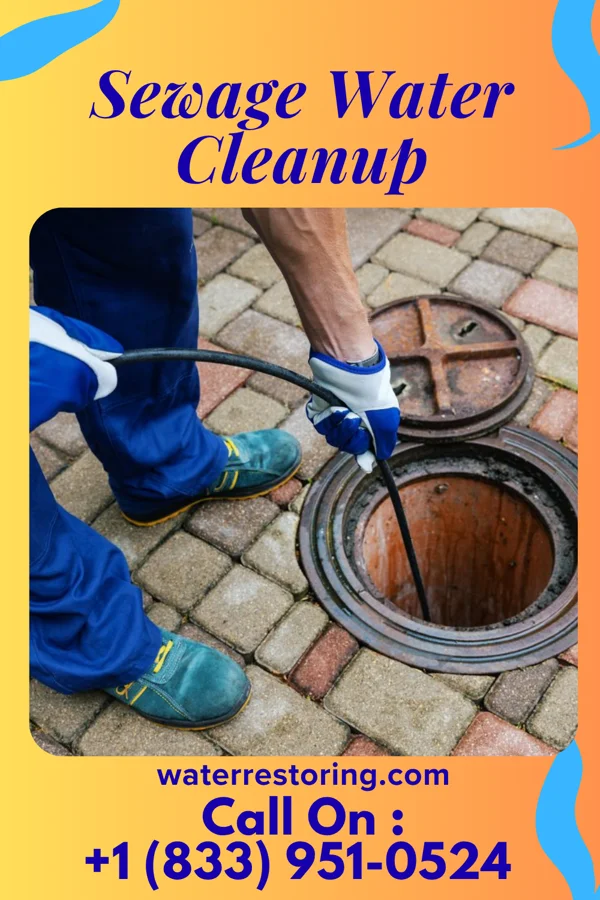 Sewage Water Cleanup in Harveys Lake, PA