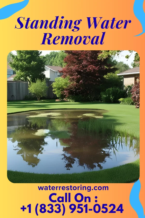 Standing Water Removal in Harveys Lake, PA